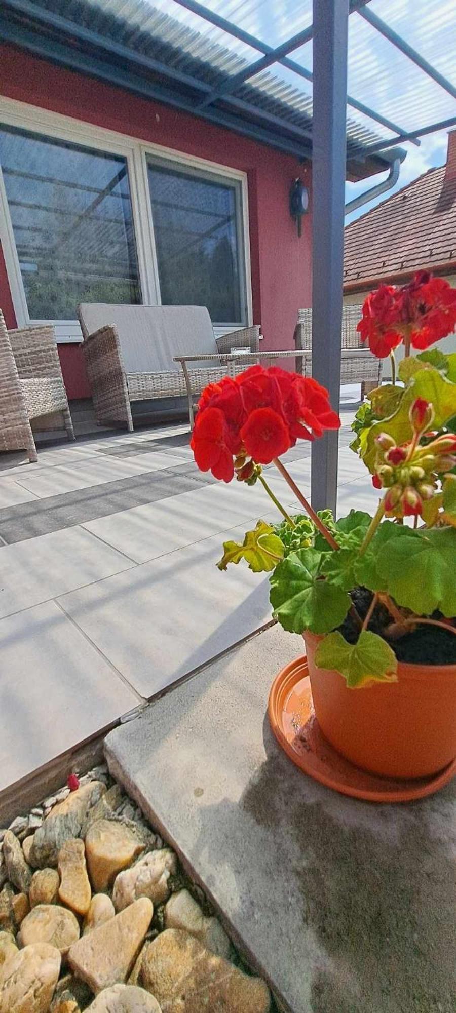 Villa Venezia 艾格扎洛克 外观 照片